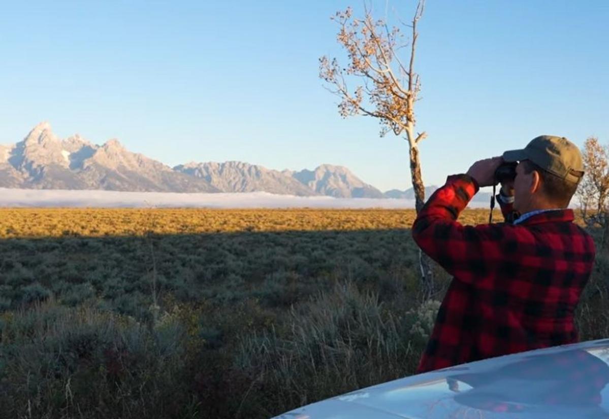 Forget Africa, Take A Wyoming Safari