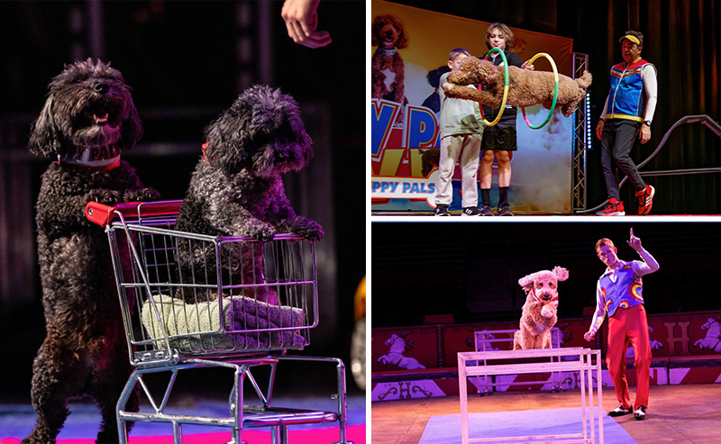 From ‘MJ The Musical’ to Fun Times at Oaklawn: Arkansas Weekend Events March 5 – 8