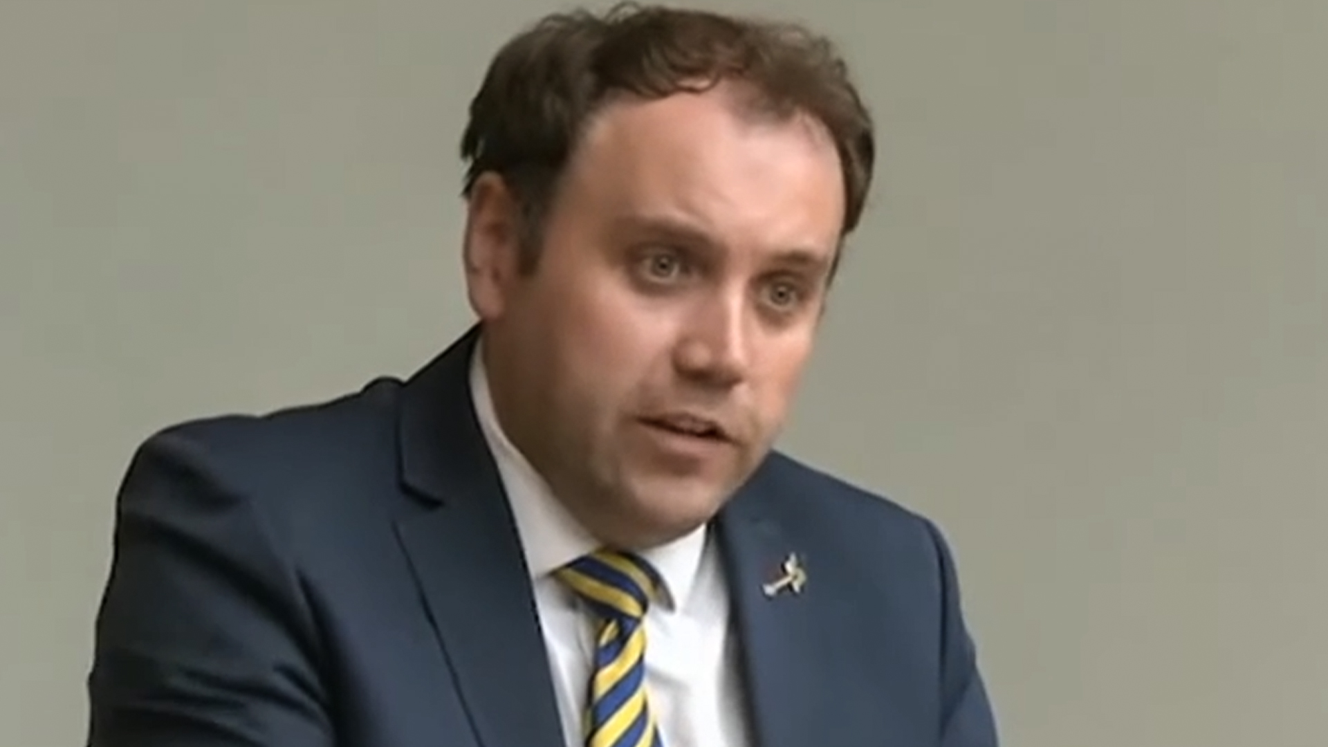 Government should consider pausing carbon tax hikes, says FF TD