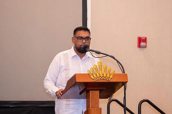 Guyana’s president Ali calls for stronger public-private partnership to navigate global crisis