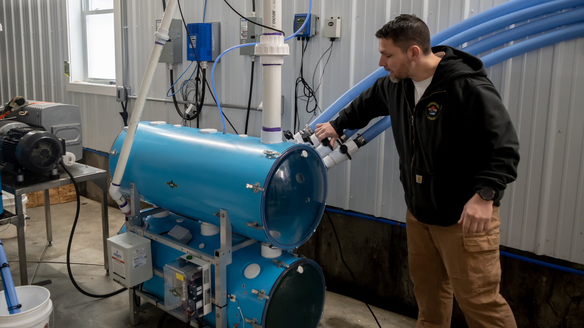 Hundreds come out to Maine Maple Sunday Weekend in Fort Kent