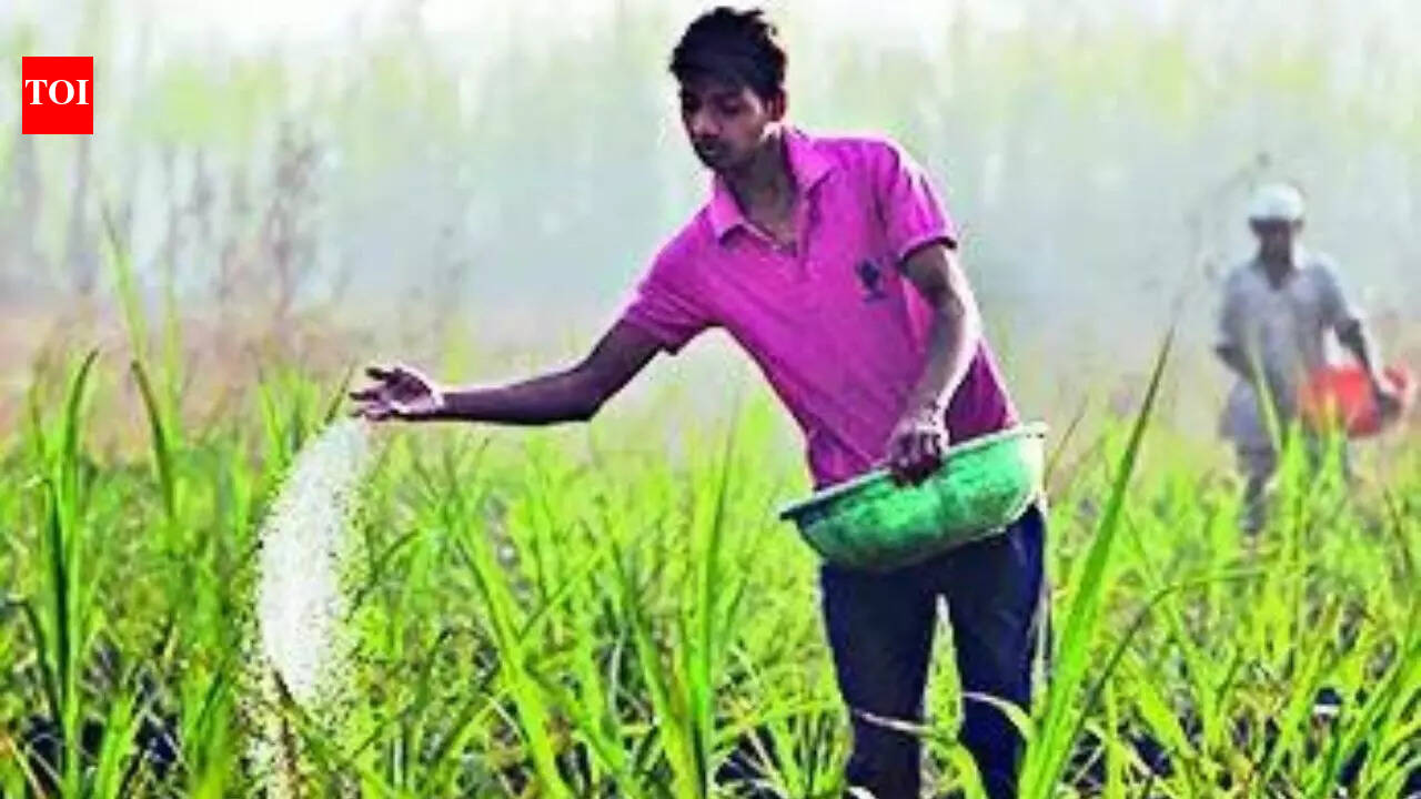India Fertilizer Supply 2026: Gulf conflict: LNG squeeze may impact urea output ahead of kharif season | India News