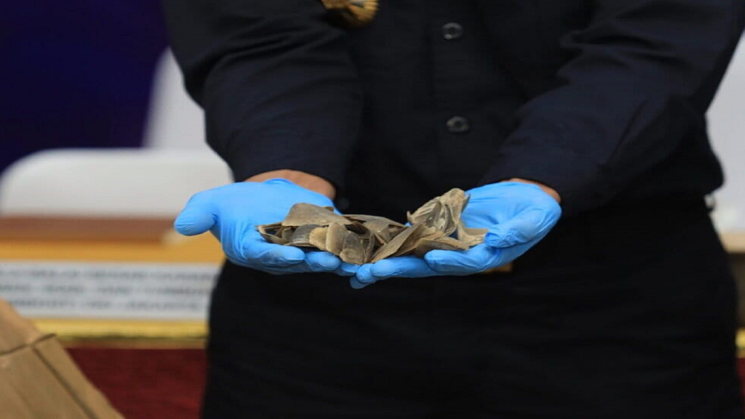 Jakarta port authorities seize 3 tons of pangolin scales in Cambodia-bound container