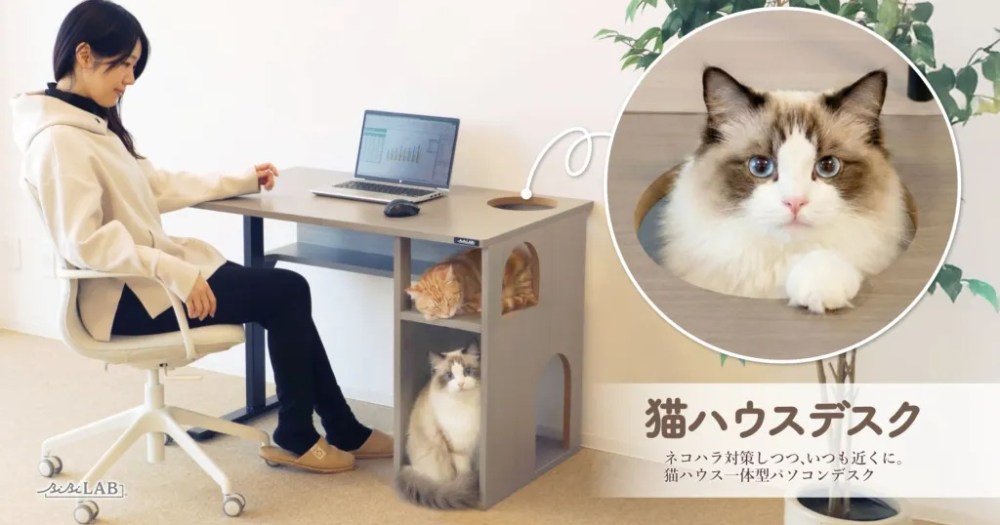 Japan now has a special desk for people who work at home with a pet cat[Photos]