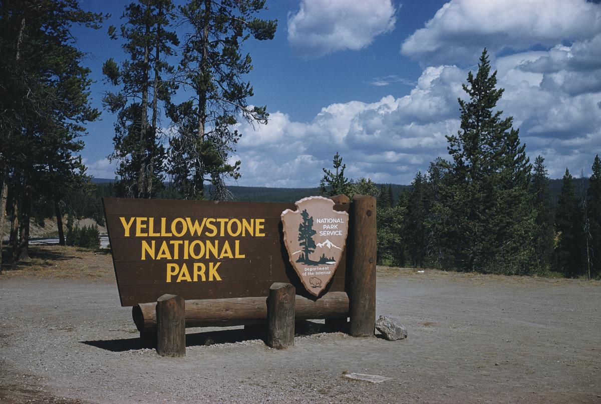 Join The Summer Team At Yellowstone National Park Today