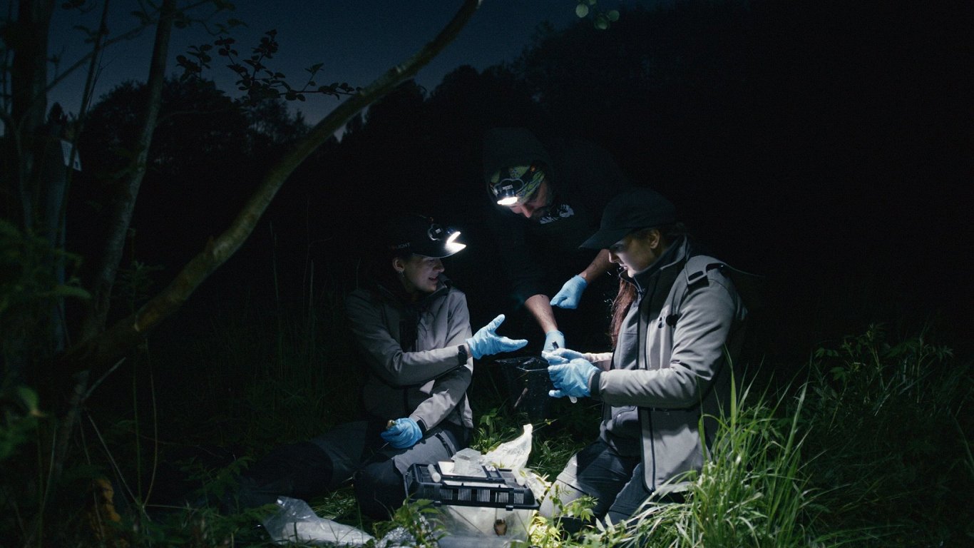 'Latvian Code' documentary 'Frog Safari' / Article