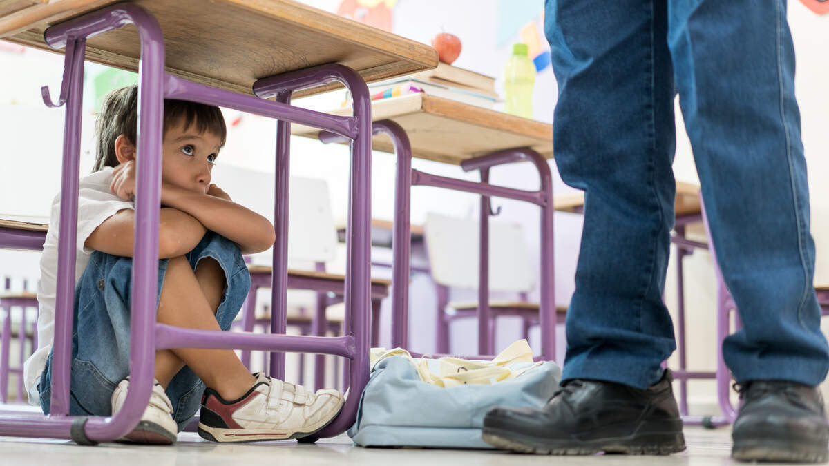 In an interpellation on Tuesday, MPs criticised the fact that schools are no longer a safe haven for some children due to an increasing phenomenon of violence.