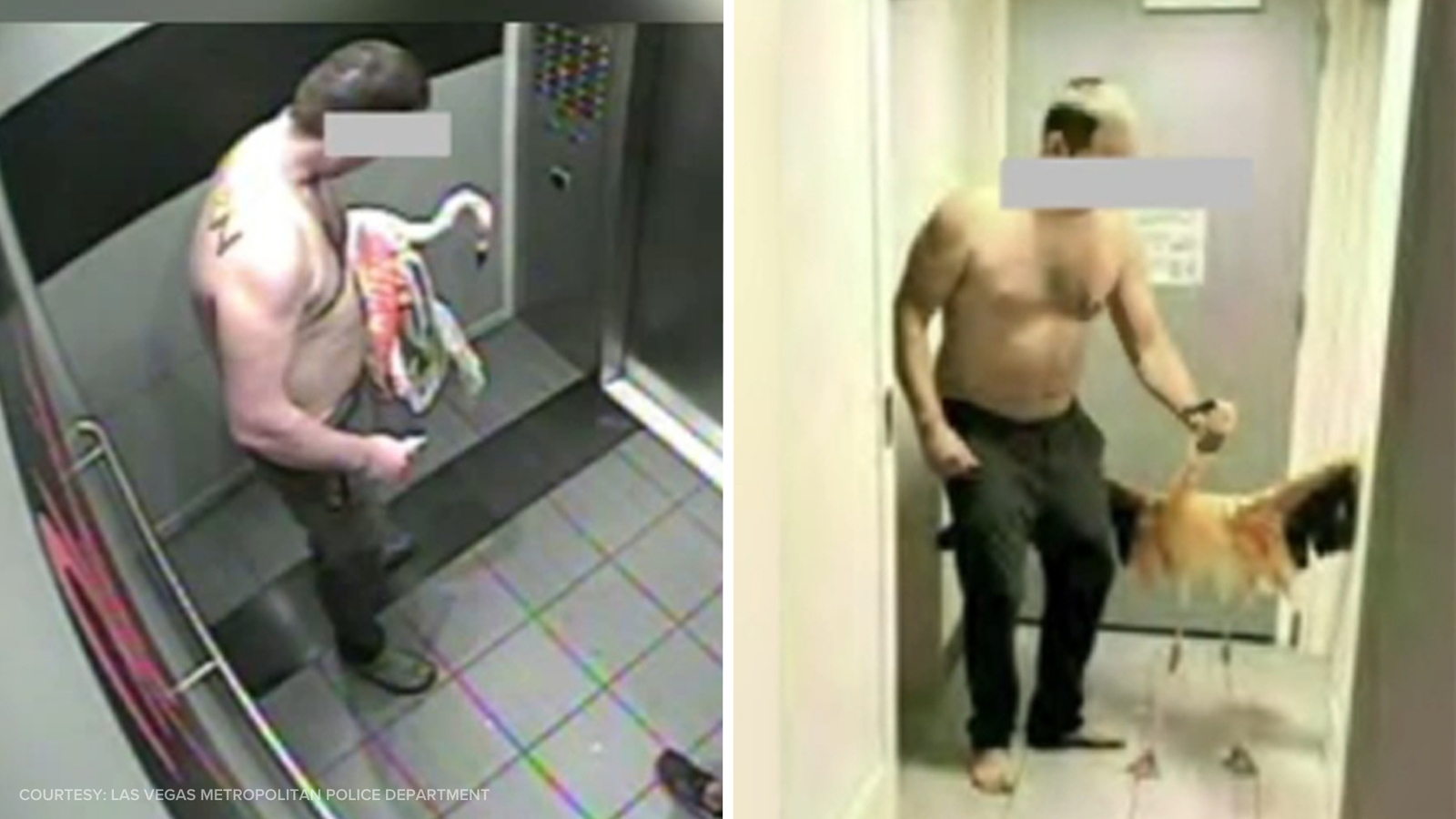 Man accused of stealing flamingo from Las Vegas hotel; bodycam video released