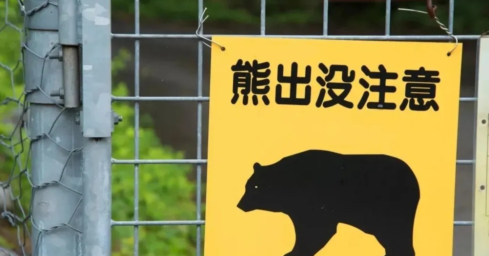 Man in Japan falls into hole with a bear in it