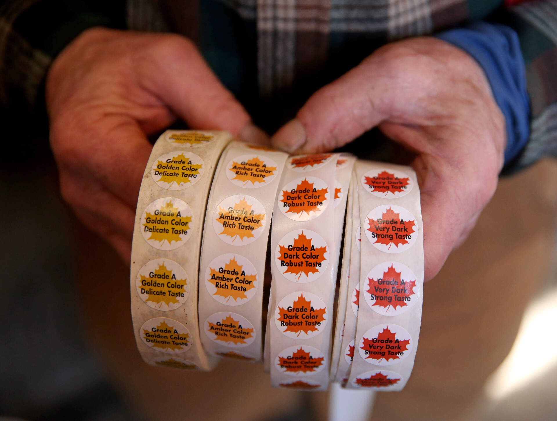 A man reattaches a bucket used to collect sap from a maple tree in order to make maple syrup during an educational walk through the sugar bush at Drumlin Farm in Lincoln. (Jessica Rinaldi/The Boston Globe via Getty Images)