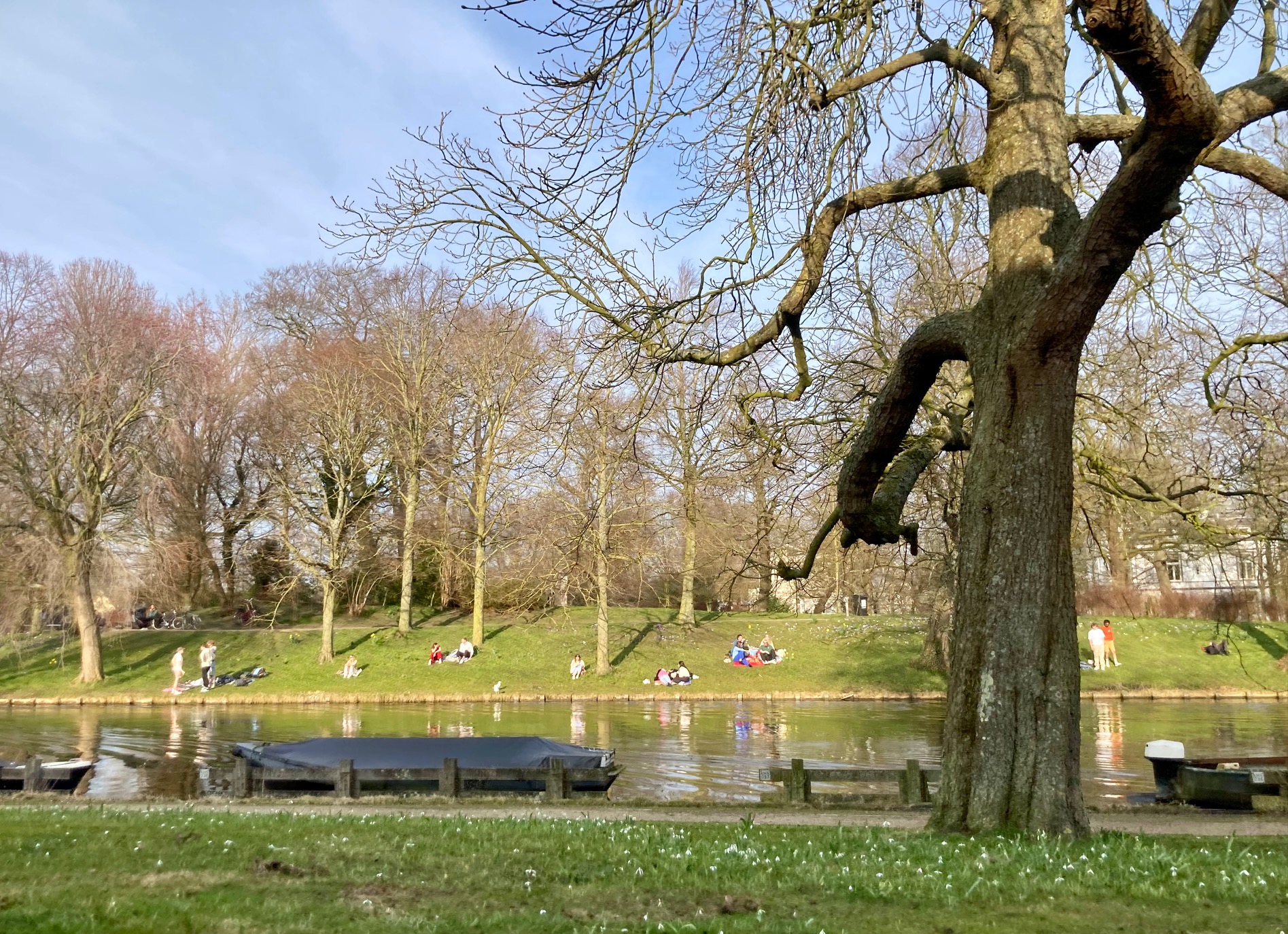 Mild weather continues but Saharan sand is on its way