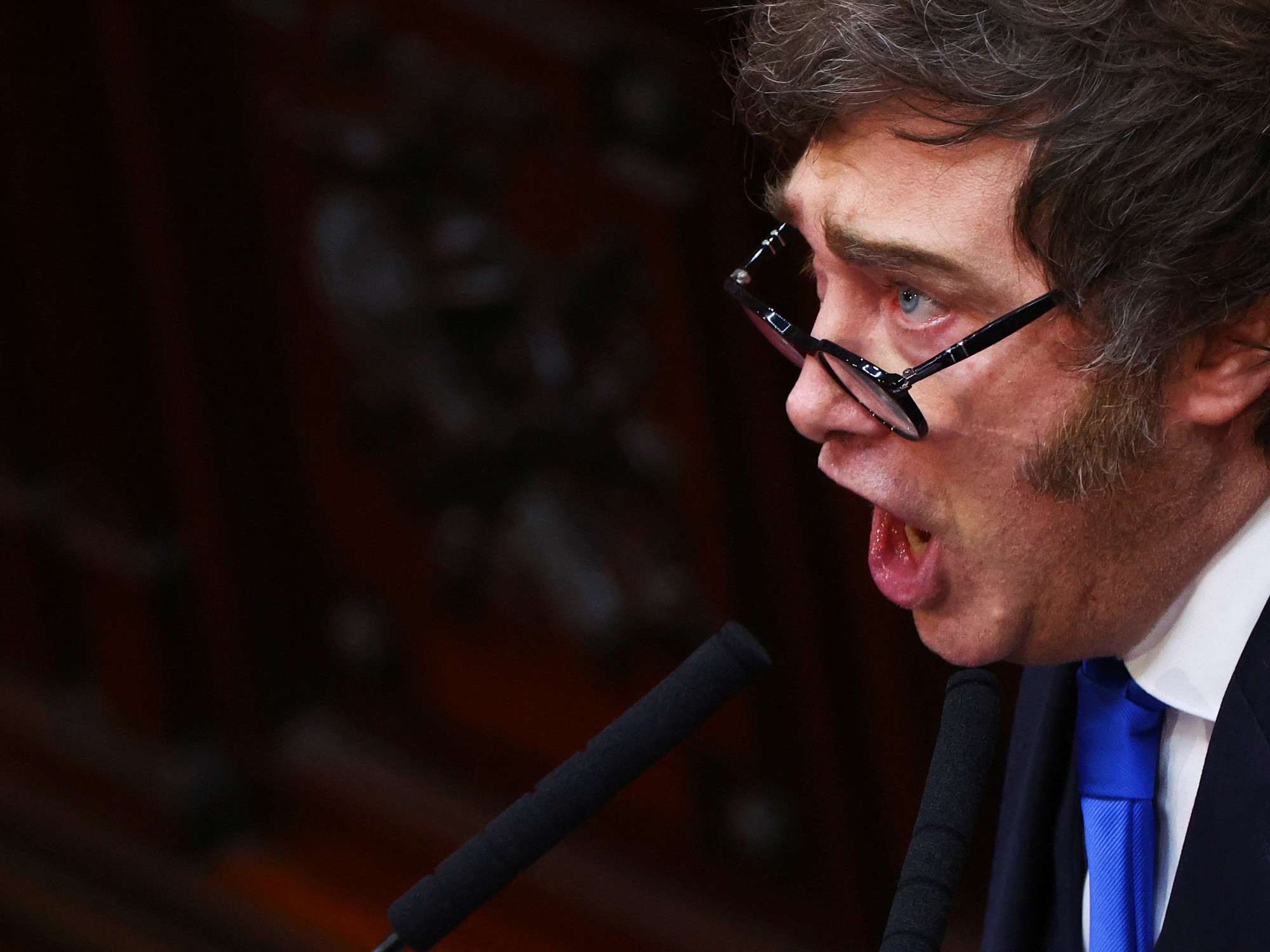 Milei apuntó contra Techint y Fate por los precios, prometió profundizar la apertura económica y más privatizaciones