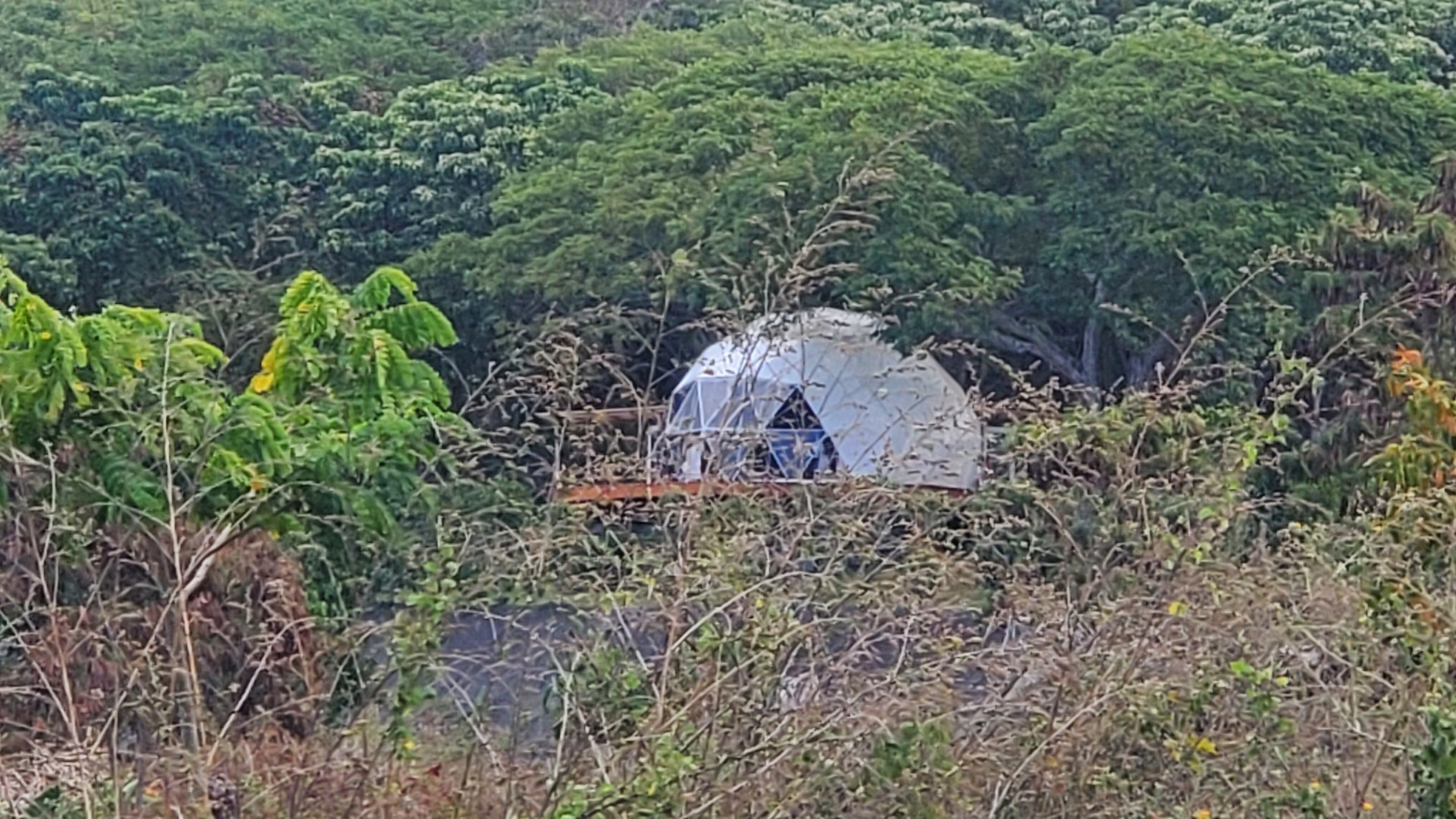 A dome-shaped house in the middle of a grove of trees. The building is on agricultural land in Kona and county records show there aren