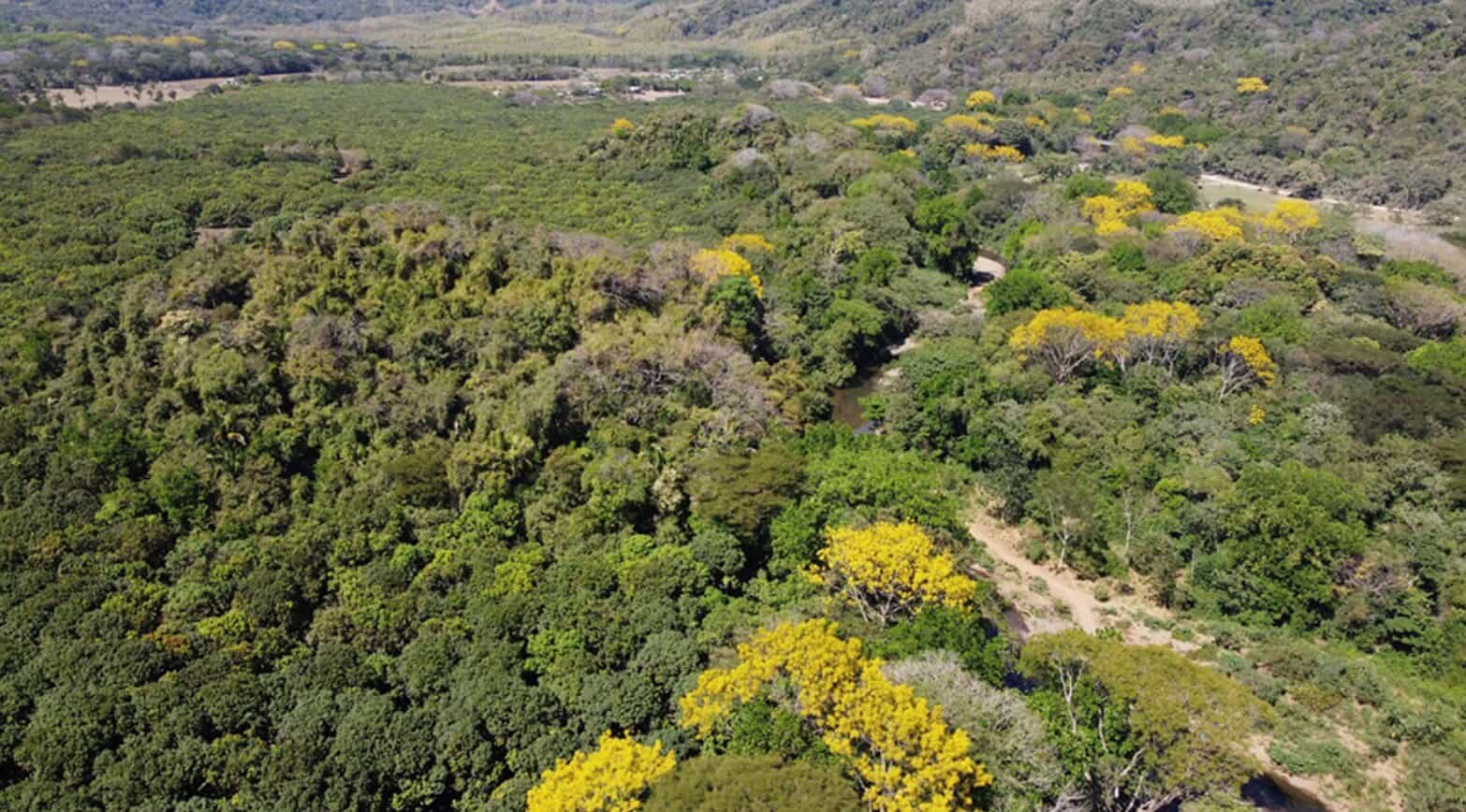 Nosara Landowners Build Costa Rica’s First Voluntary Biological Corridor