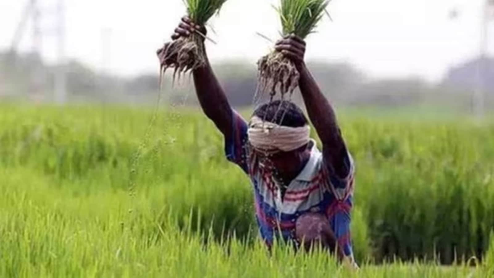 PM Kisan Yojana 2026: Check the 22nd installment date and how to verify payment.