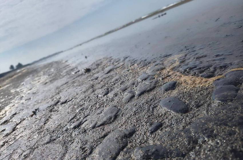 tar on a beach in Veracruz