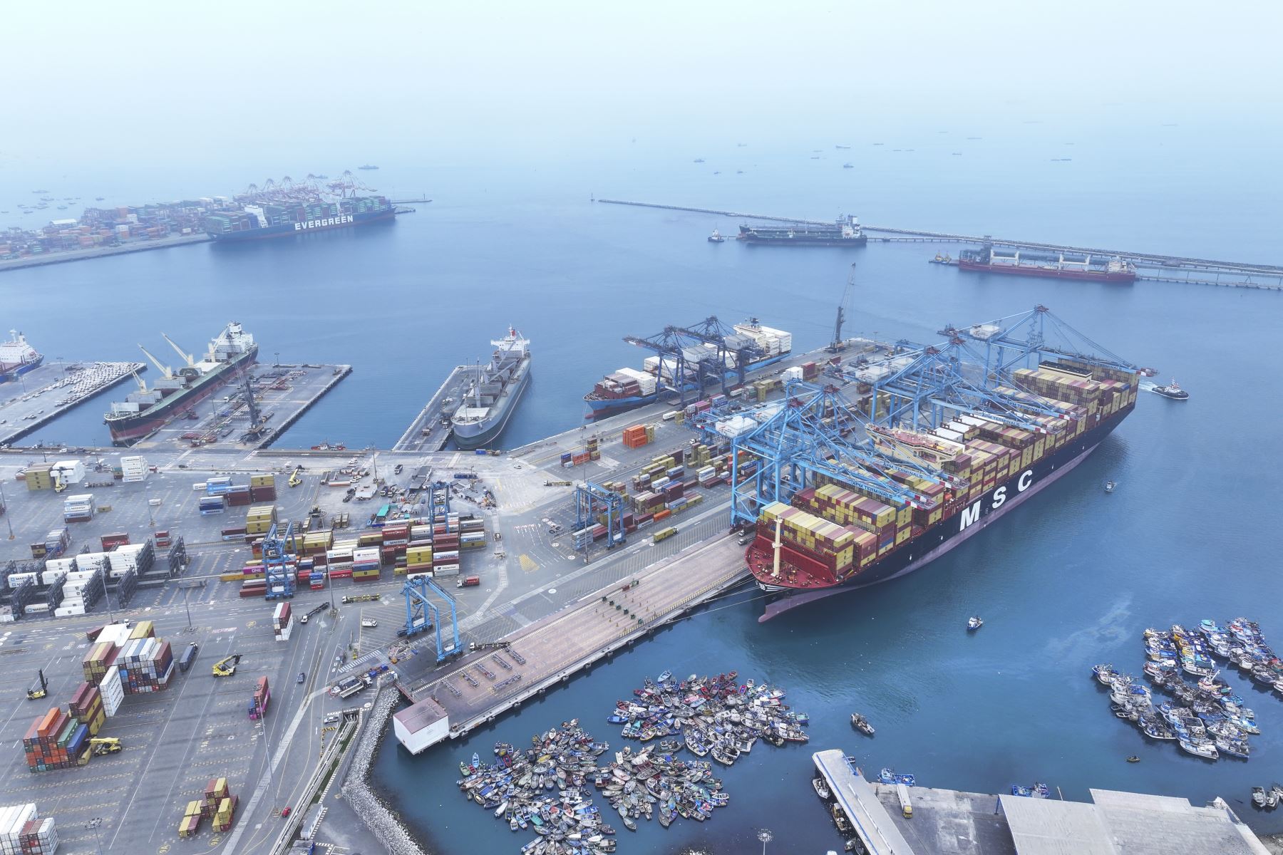 Photo: ANDINA/Jhonel Rodríguez Robles