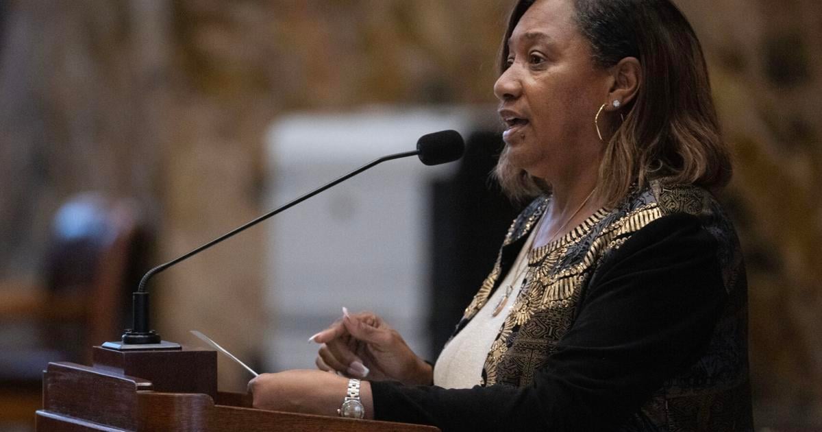 Plank Road taxing district plan revived at capitol | News