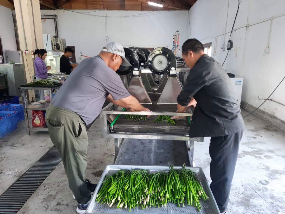 Post-harvest losses threaten Bhutan’s food security as farmers lose millions
