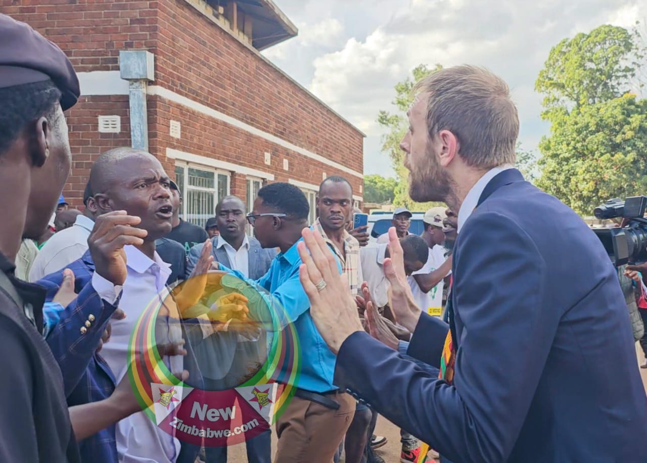 Rights lawyer Coltart assaulted, phone stolen as chaos rocks Harare Constitution Amendment Bill public hearings