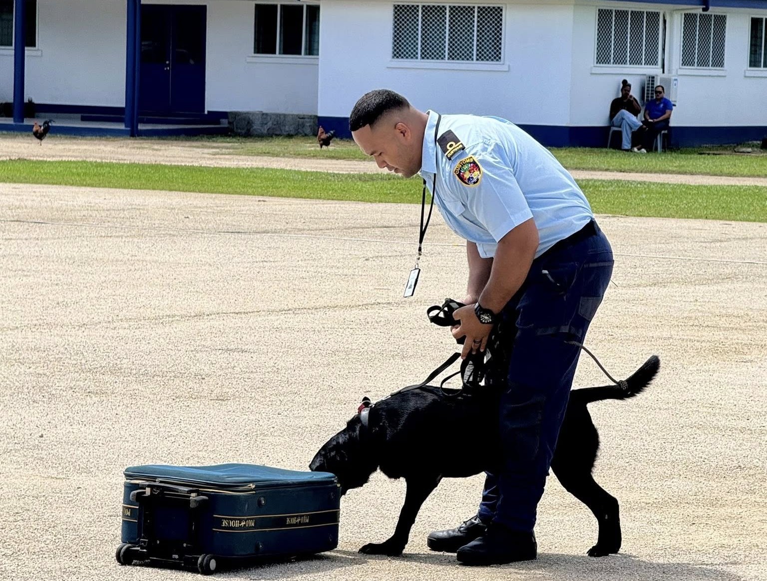 Stronger border security with detector dog partnership