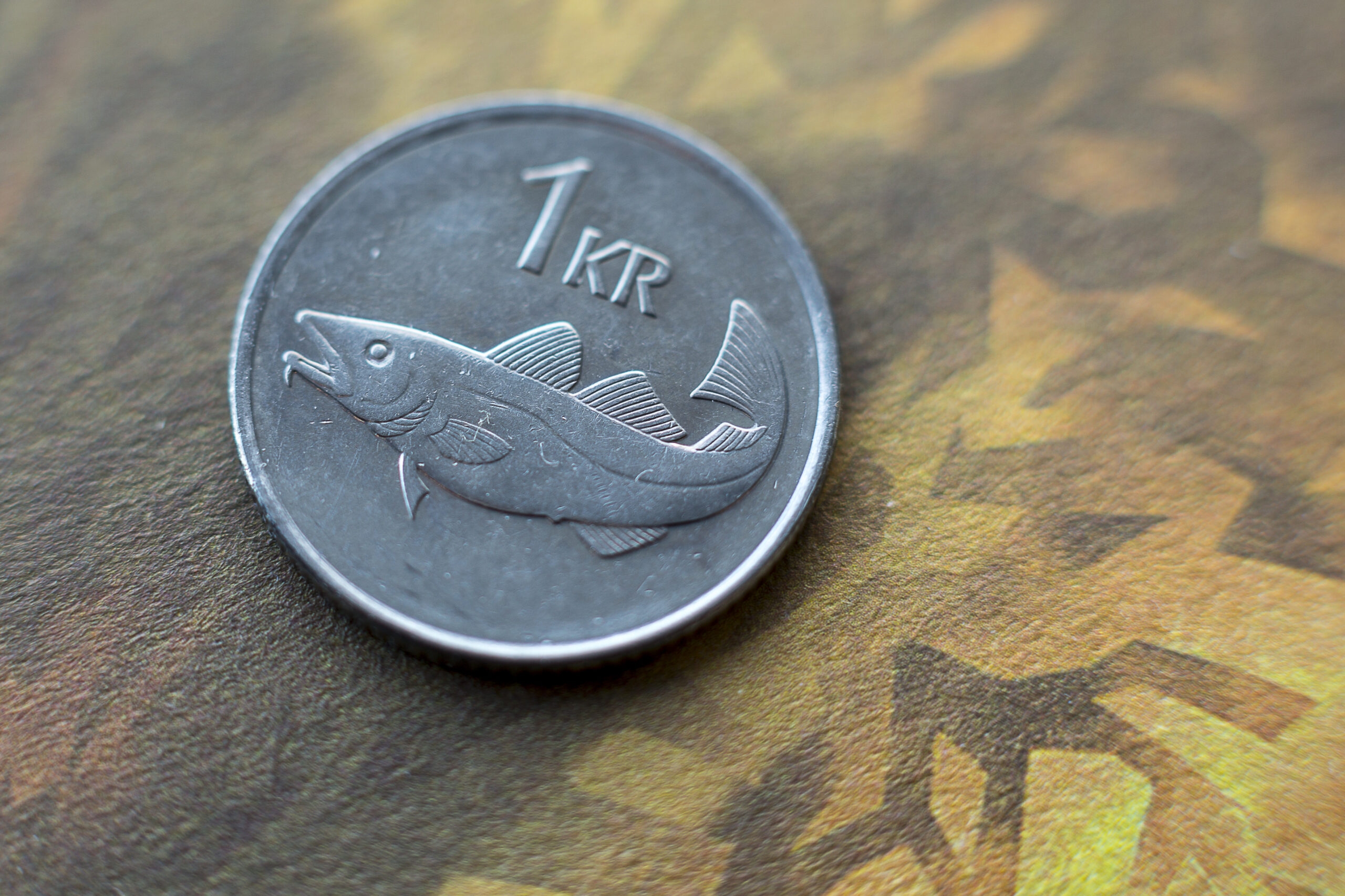 Summer Employee Stole Seven Million ISK From The University Of Iceland Lottery