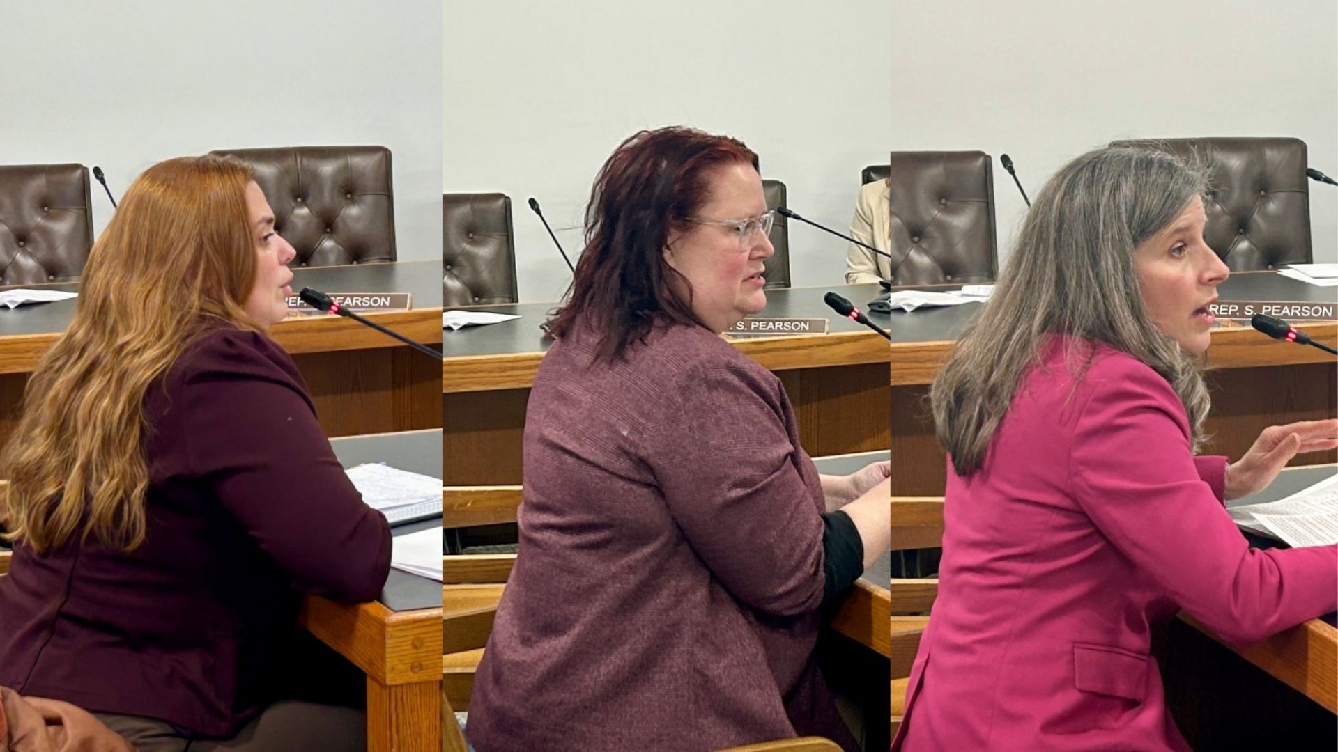 Survivors offer mixed reviews as lawmakers debate oversight of Coalition Against Domestic and Sexual Violence