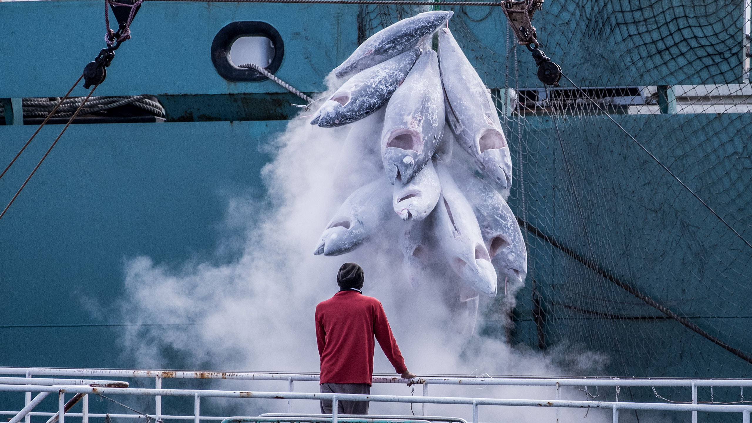 The hidden cost of fisheries subsidies