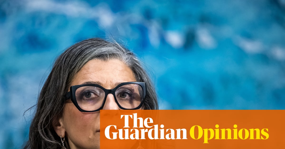 Trump’s sanctions against a UN human rights expert show free speech is dying | Sandra L Babcock, Susan M Akram, Asli Bali, Thomas Becker and James Cavallaro