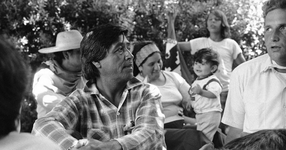 Valley leaders respond to allegations against labor rights activist Cesar Chavez