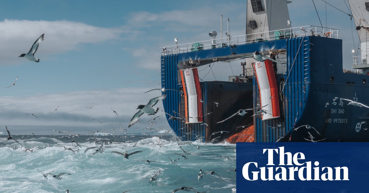 ‘It smells like a rancid fish and chip shop’: at sea with the Antarctic’s krill supertrawlers | Endangered species