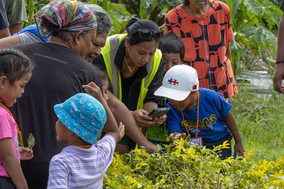 ‘Our Natural Pharmacy’: Native Tree Planting Initiative Promotes Food Sovereignty in Palau