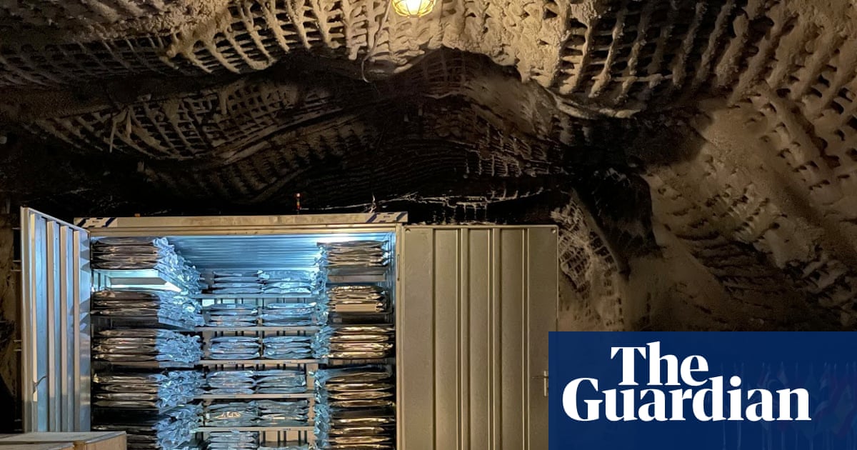 ‘The world’s memory’: why Nigeria is burying its history under a mountain in Svalbard | Global development