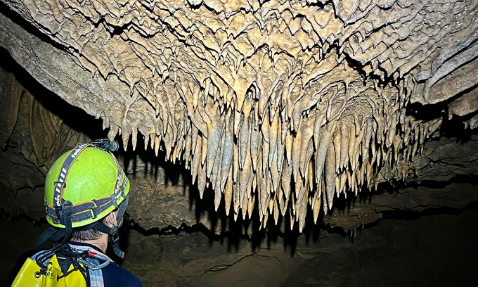 26 new caves discovered in Vietnam's Phong Nha - Ke Bang National Park