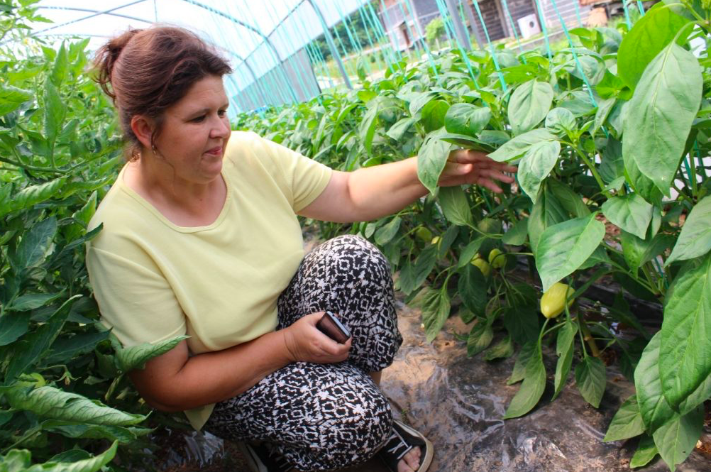2.8 Million BAM in Incentives for Agricultural Production paid out in RS