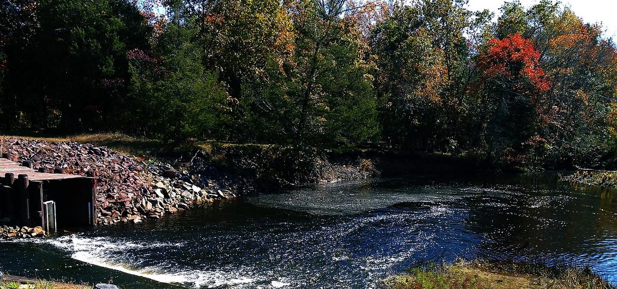 Amazing! New Jersey's Largest State Park Is Worth Several Trips