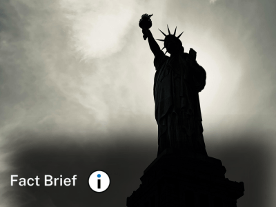 Are 3 in 100 immigrants granted asylum?