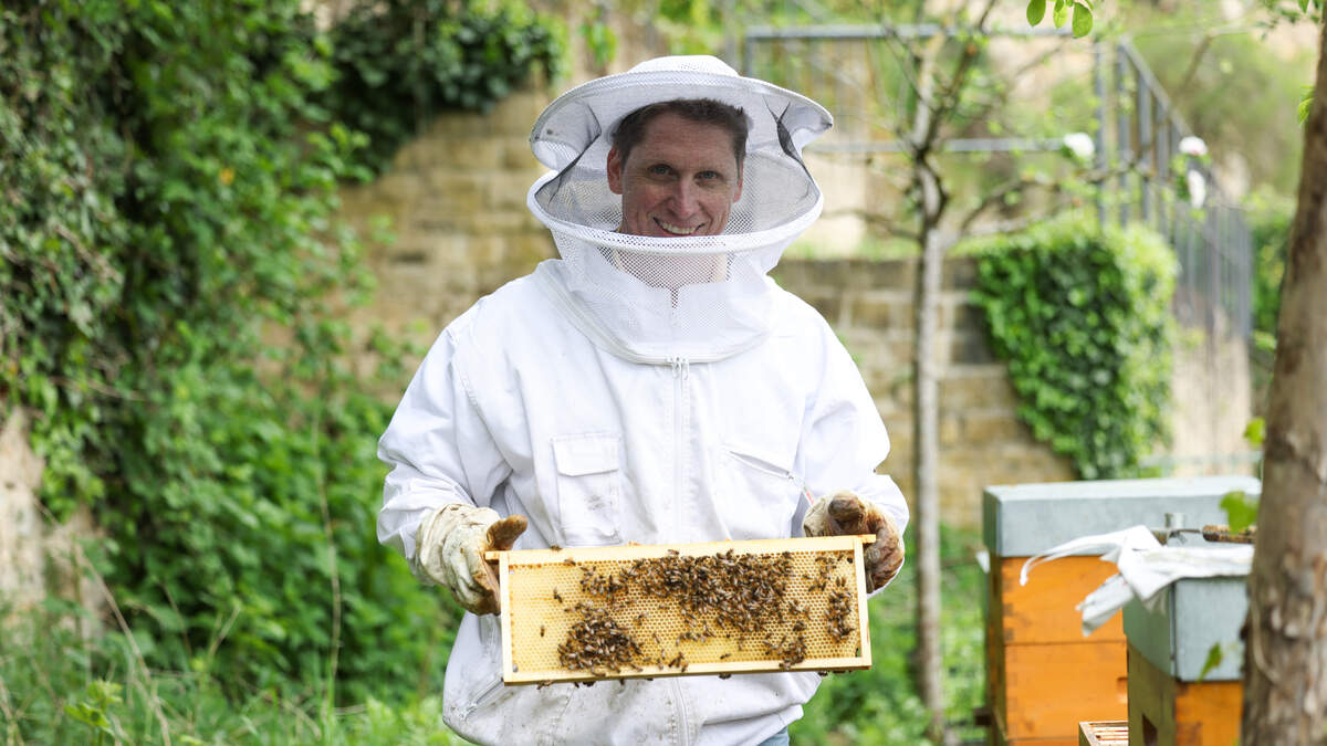 When his bee colonies are attacked by Asian hornets, Geoffroy Vigneron moves the hives to another village. But the organic beekeeper says this isn’t a permanent solution.