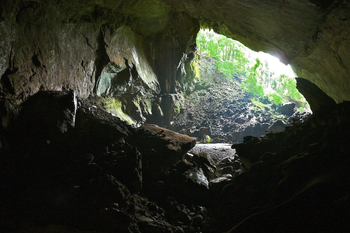 Borneo's GIGANTIC bat caves