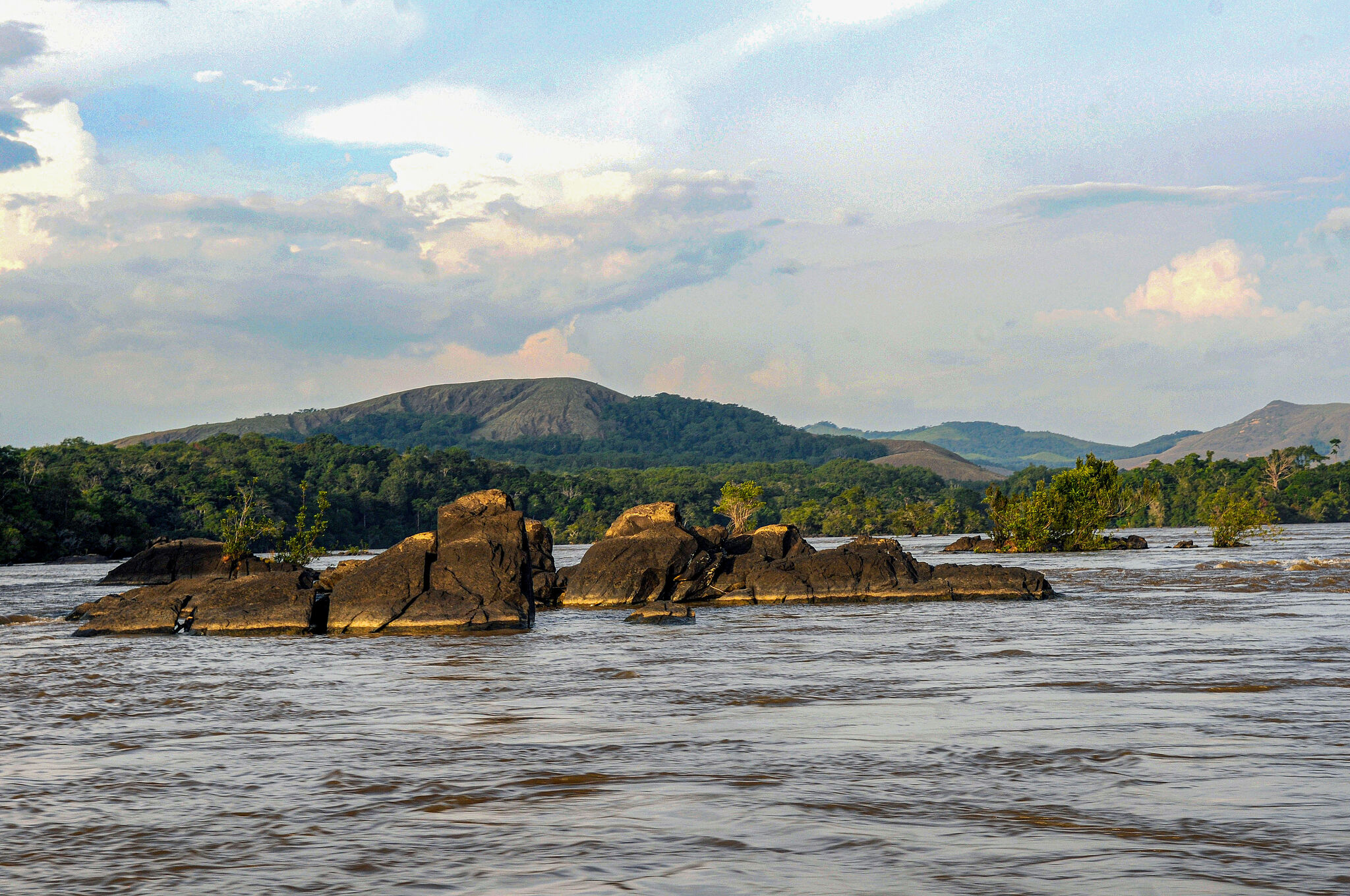 California millionaire on hunt in Africa killed by elephants