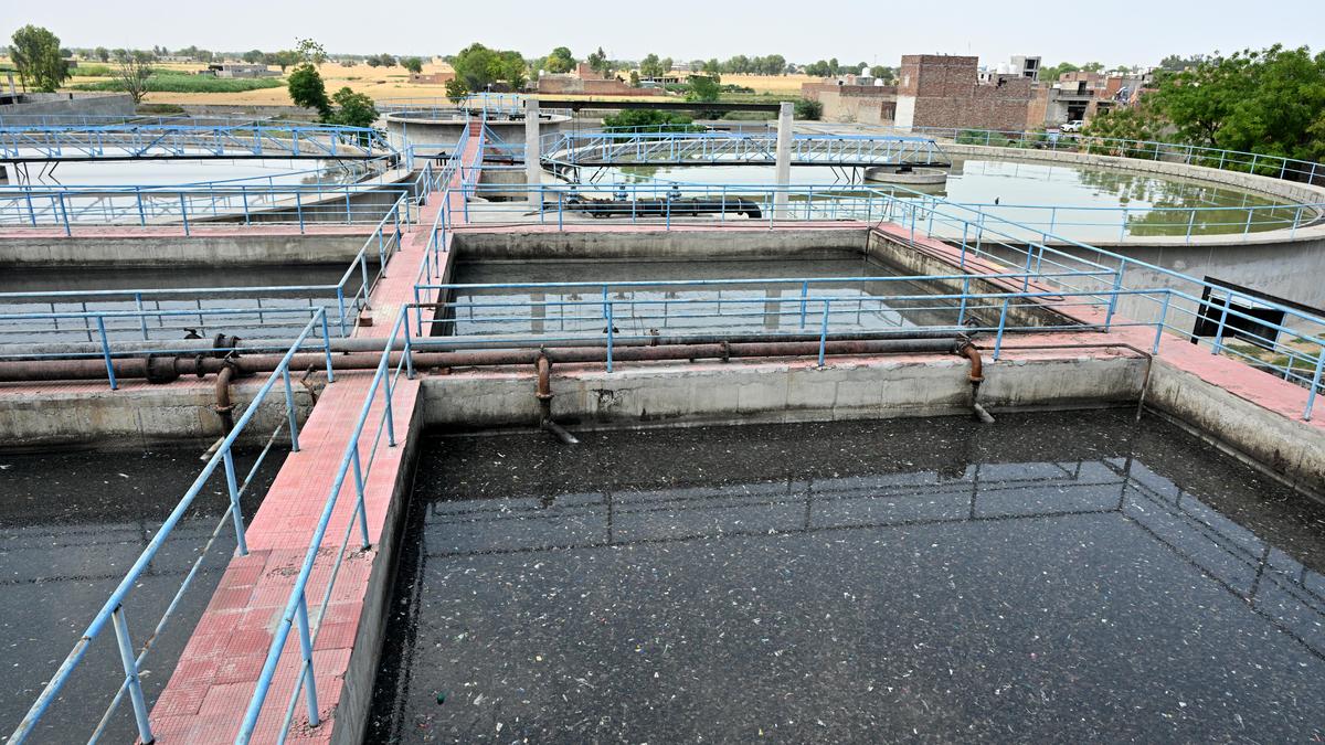 Cancer courses through the Ghaggar