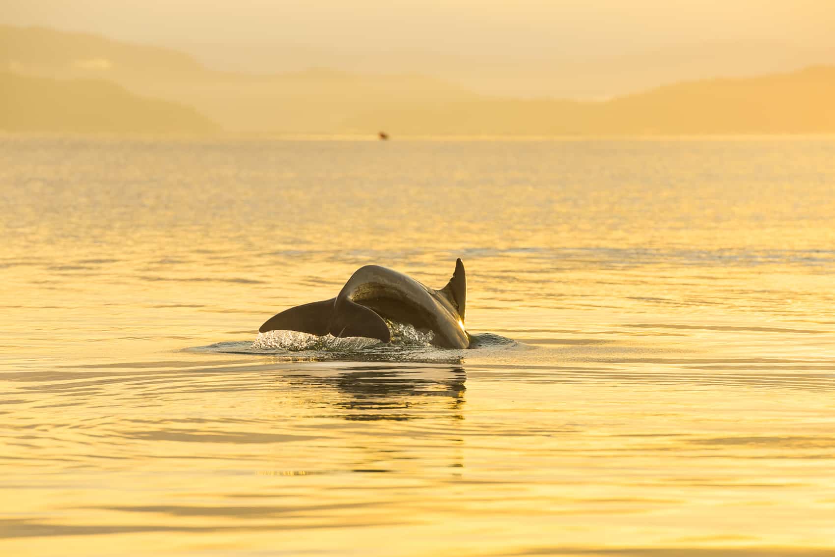 Costa Rica Unveils Costa Rica Azul for Ocean Conservation and Learning