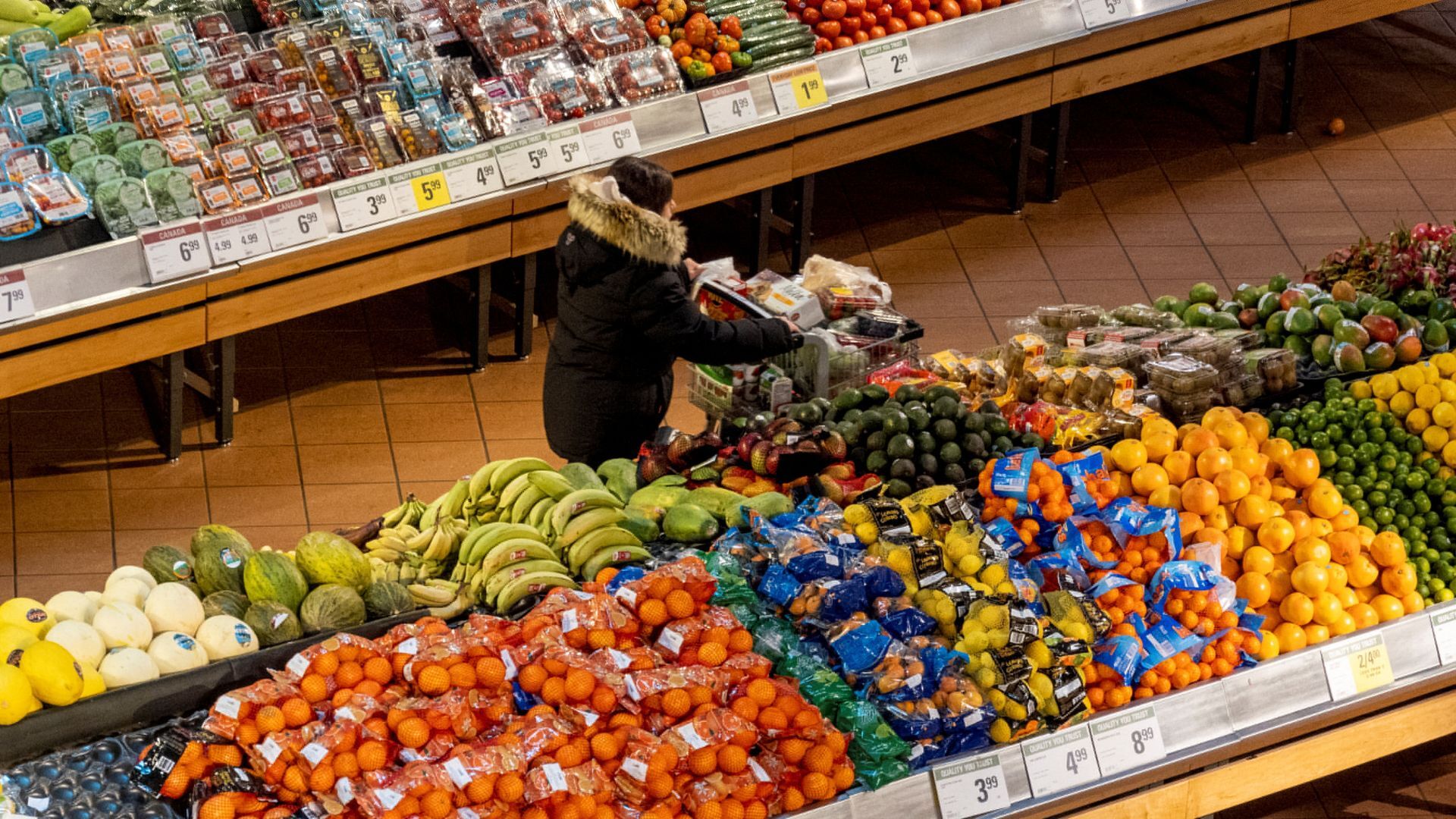 Could the Iran war pose lasting risks to global food security? | US-Israel war on Iran