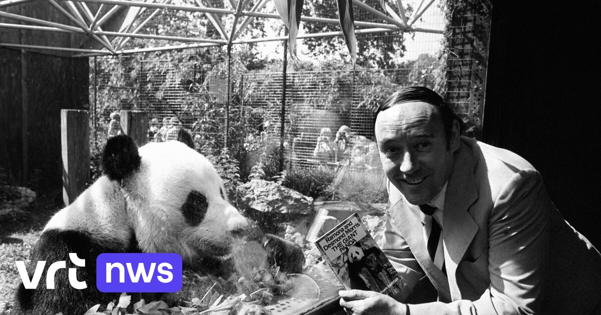 Desmond Morris (98) overleden, auteur van bestseller 'The Naked Ape'