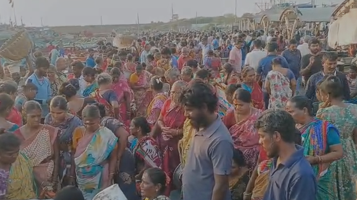 Despite high prices, crowds flock to Kasimedu to buy fish