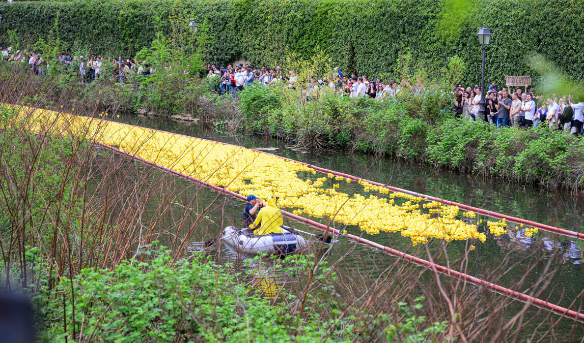 “Duck Race” in Luxembourg-Grund: 20,000 rubber ducks to raise money for children