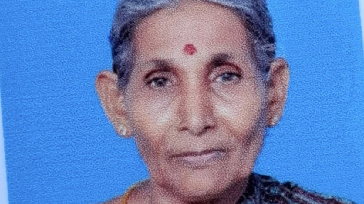 Elderly woman electrocuted at coconut grove near Ambur