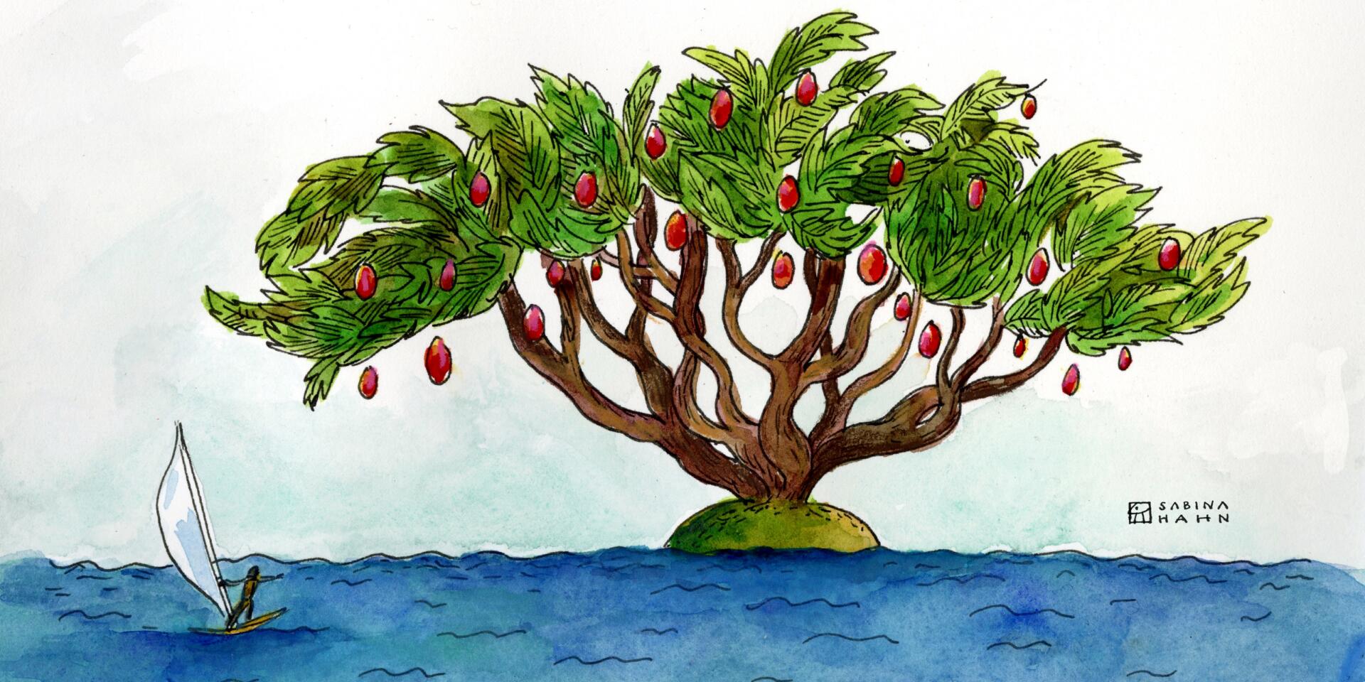 A sailboat and a tree. (Sabina Hahn for WBUR)