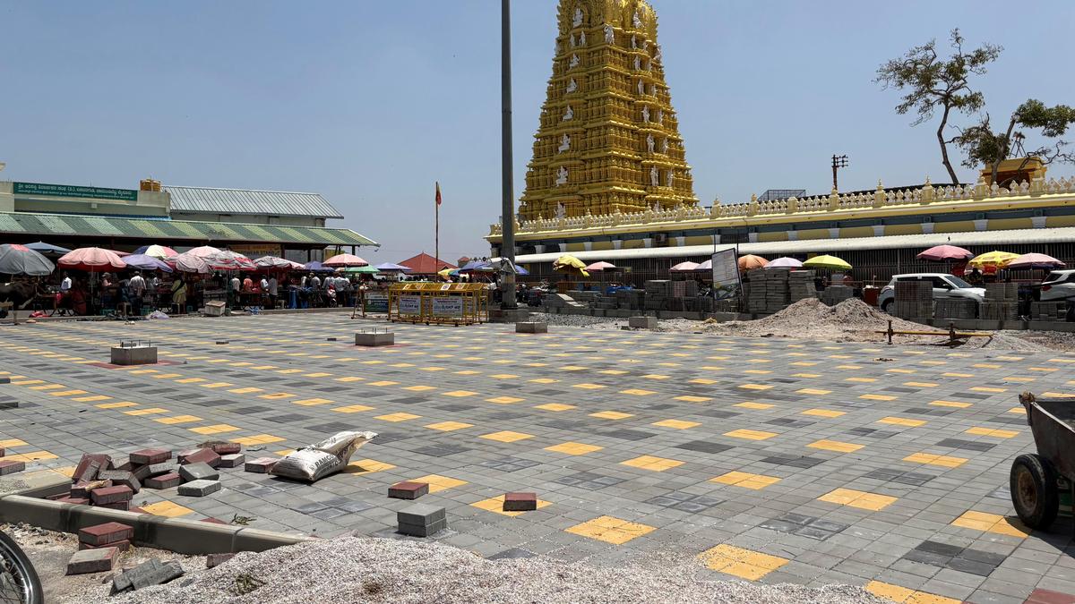 Environmental group welcomes court order on halting PRASHAD works atop Chamundi Hill