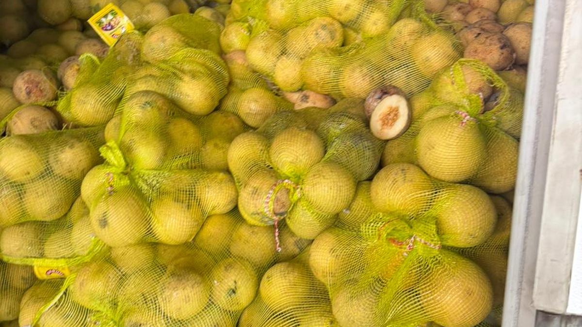 Exporter’s ordeal over watermelon shipment to UAE highlights depth of West Asian crisis in export sector